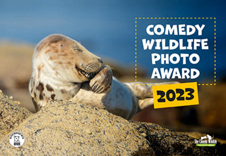 Cover Kalender Comedy Wildlife Photo Award 2023 | Heel Verlag