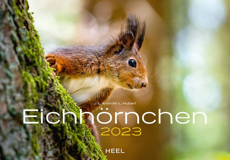 Cover Kalender Eichhörnchen 2023 | Heel Verlag