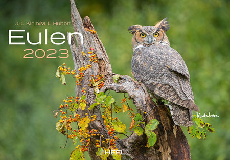 Cover Kalender Eulen 2023 | Heel Verlag