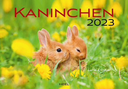 Cover Kalender Kaninchen 2023 | Heel Verlag
