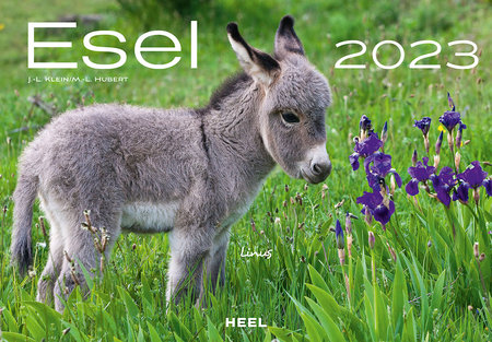 Cover Kalender Esel 2023 | Heel Verlag