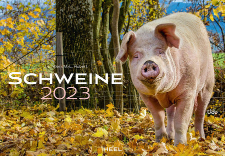 Cover Kalender Schweine 2023 | Heel Verlag