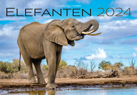 Cover Kalender Elefanten 2024 | Heel Verlag