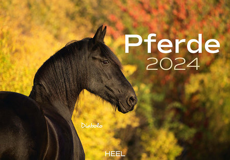 Cover Kalender Pferde 2024 | Heel Verlag