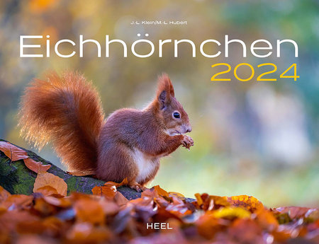 Cover Kalender Eichhörnchen 2024 | Heel Verlag