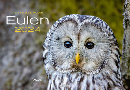 Cover Kalender Eulen 2024 | Heel Verlag